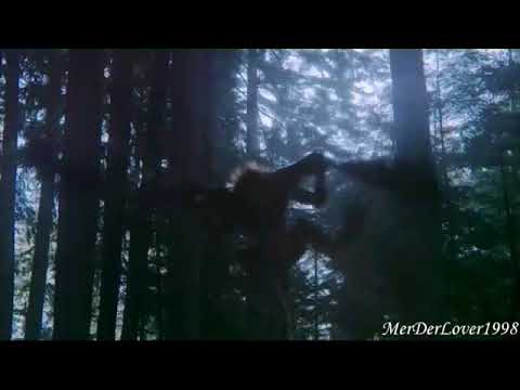 Видео: Реджина и Робин ( но ты ушёл туда где небеса )