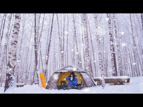 Видео: [4K] Кемпинг в заснеженном густом березовом лесу. Лучший кемпинг когда-либо. Поход в поход по снегу