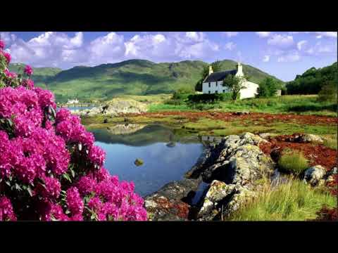 Видео: Духовная практика и сопротивление 2  Экхарт  Толле