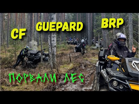 Видео: ПОРВАЛИ БОЛОТО В КЛОЧЬЯ. #cfmoto #guepard #brp #grizzly #polaris Выезд выходного дня.