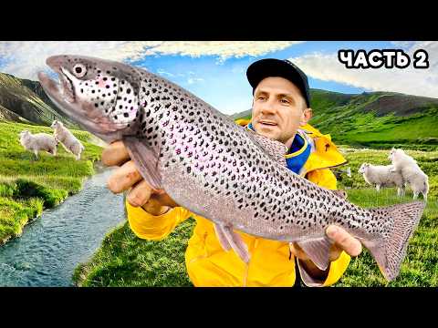 Видео: ИСЛАНДИЯ: Горячая Река, Мясо Кита и Базальтовые Пещеры [Часть 2]
