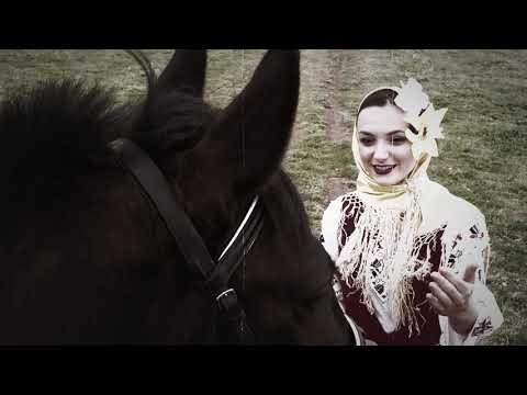 Видео: Боряна Василева и орк.Шевица - Добруджа родна