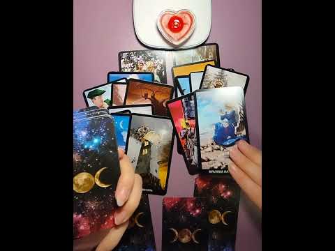 Видео: Любовен триъгълник - коя ще избере? ❤️