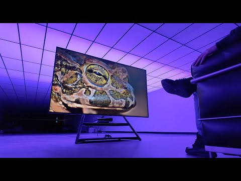 Видео: Распаковка САМОГО БОЛЬШОГО ТЕЛЕВИЗОРА | 100-дюймов LED Hisense U8K