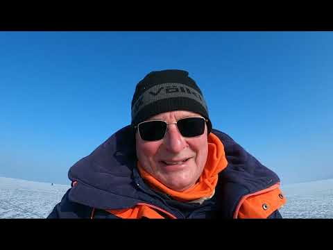 Видео: Новогодняя навага