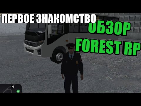 Видео: Обзор FOREST RP/Первое знакомство.