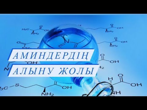 Видео: Аминдердің алыну жолы