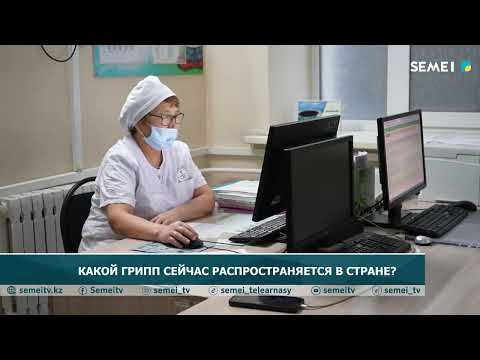 Видео: КАКОЙ ГРИПП СЕЙЧАС РАСПРОСТРАНЯЕТСЯ В СТРАНЕ?