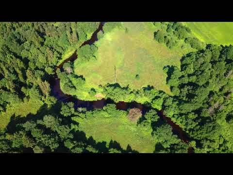 Видео: От моста до моста по реке Лучёса