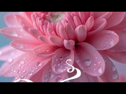 Видео: Много уборки 🧹 поломался помощник 😔 будни много мамы