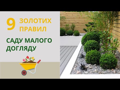 Видео: Малоуходный сад: простые правила