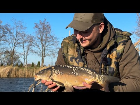 Видео: Карпфишинг осенью. Ловля карпа в ноябре рыбалка поздней осенью. Осенний карпфишинг.