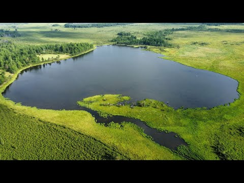 Видео: Озеро АРА-НУР, Забайкальский край