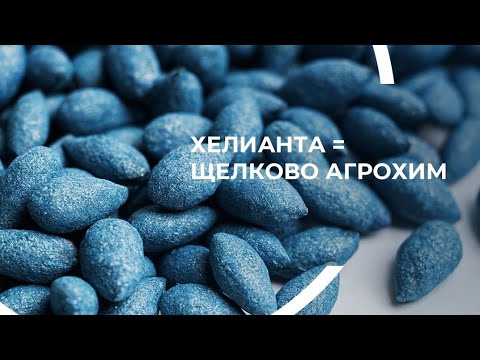 Видео: Осматриваем отстающие всходы подсолнечника со специалистами Щёлково.