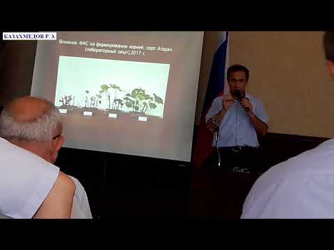 Видео: Проблема филлоксеры решена: Часть 3 Выступление зам.директора по науке Казахмедова Р.Э.