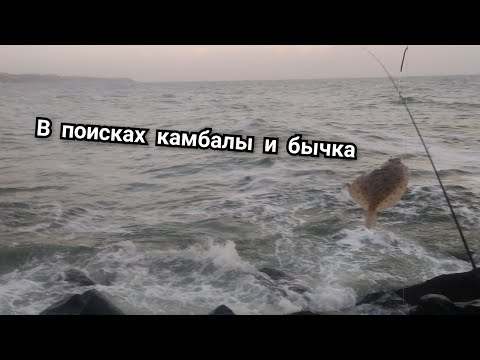 Видео: в поисках Камбалы и бычка в Черном море.