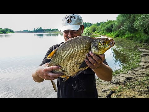 Видео: Как поймать огромного леща. Рыбалка на фидер. Удачный улов