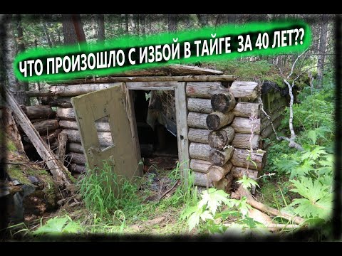 Видео: В ТАЙГУ НА ПОИСКИ ИЗБЫ часть 2