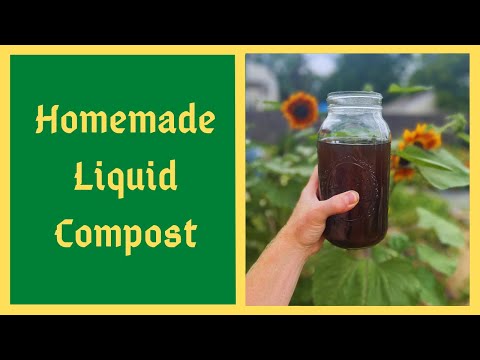 Видео: Как приготовить аэрированный компостный чай для здоровья сада — жидкий компост собственного приго...
