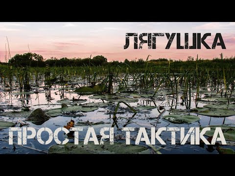 Видео: Лягушка. Простая тактика