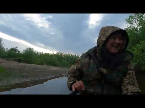 Видео: Таатта үрэх үрдүгэр