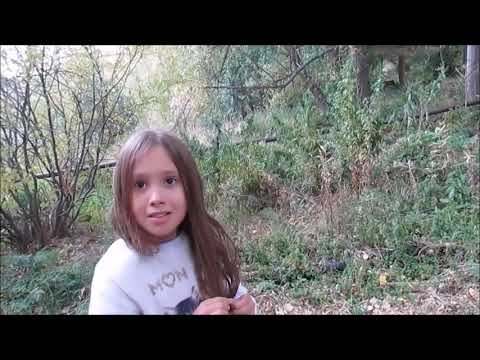 Видео: Джермук жемчужина Армении Ростовчане в Армении