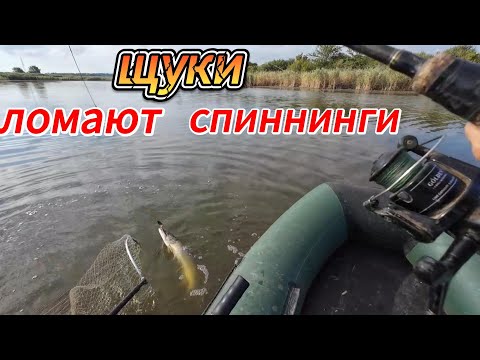 Видео: Щуки ломают спиннинги.