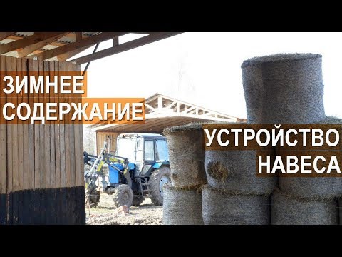 Видео: Зимнее содержание мясного скота. Навесы для КРС на зимнем выгуле. Семейная ферма КФХ Герефорд