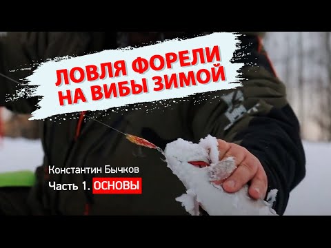 Видео: Зимняя ловля форели на вибы ECOPRO. Константин Бычков.