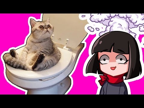 Видео: НЕ ЗАСМЕЙСЯ ЧЕЛЛЕНДЖ с КОТАМИ! Попробуй не засмеяться с Машкой