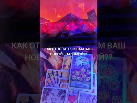 Видео: 13 сентября 2025 г.