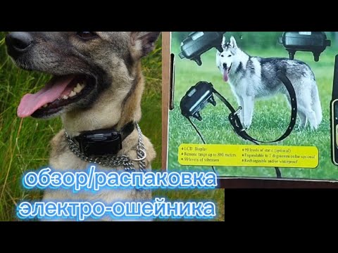 Видео: Обзор / распаковка электрического ошейника для собак