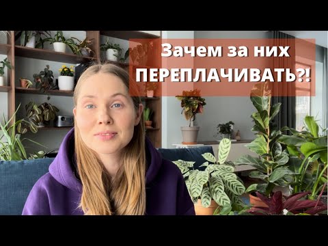 Видео: Топ популярных растений, которые быстро растут! Зачем же переплачивать?