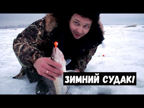 Видео: Зимний СУДАК! На Финском заливе на ЖИВЦА, ДЖИГ и РАТЛИНЫ!