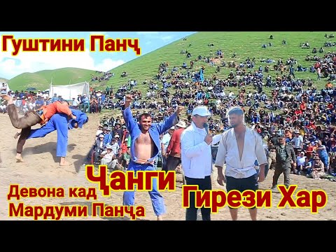 Видео: Чанги ва Гирези Хар. Девона кад ХАМАРА.  Гуштини Панч. Гуштин 2025.