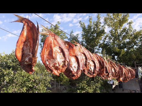 Видео: Как приготовить копчёную рыбу.smoked fish.