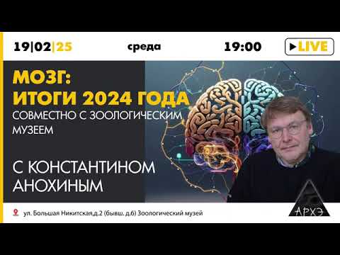 Видео: "Мозг  итоги 2024 года"