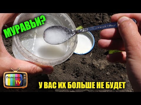 Видео: МУРАВЬИ! У ВАС ИХ БОЛЬШЕ НЕ БУДЕТ СУПЕР ЭФФЕКТИВНОЕ СРЕДСТВО