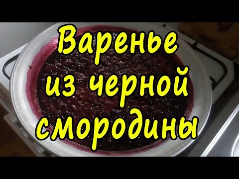 Видео: Как ПРАВИЛЬНО сварить варенье из черной смородины. ДЕЛАЕМ ВАРЕНЬЕ ПО ПРОСЬБЕ ПОДПИСЧИКОВ