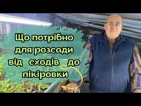 Видео: Що потрібно для розсади від сходів до пікіровки