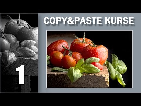 Видео: 01. Copy&Paste. Курс повышения квалификации. Лекция первая