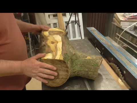 Видео: Распил ореха и облепихи