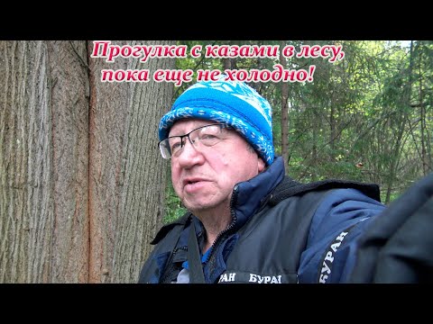 Видео: Все зависит от погоды. Скоро молока станет меньше. Стройка продолжается, но медленно.