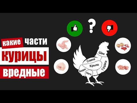 Видео: Какие части курицы вредны и как определить некачественную курятину в магазине