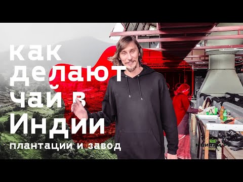 Видео: Как делают чай в Индии? Чайный завод в Нилгири, Индия.