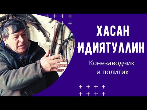 Видео: Хасан Идиятуллин, конезаводчик и политик