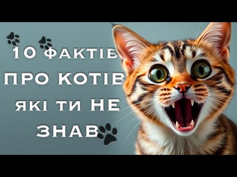 Видео: 10 шокуючих фактів про КОТІВ які ти НЕ ЗНАВ