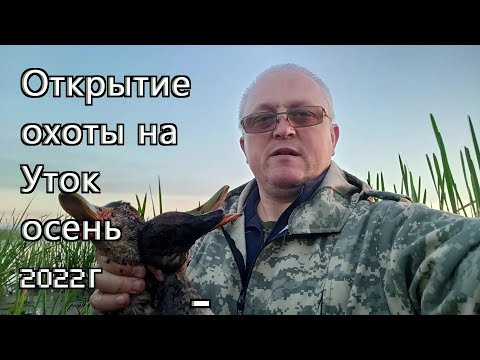 Видео: Открытие охоты на Уток осень 2022г