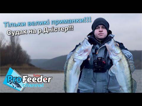 Видео: Тільки великі приманки!!! Судак на р.Дністер!!!