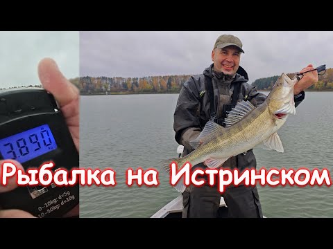 Видео: Рыбалка с гидом на Истринском водохранилище поздней осенью 2024г